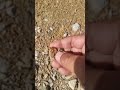 لون الطين احمر سبحان الله