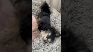 ..When She Should Be At Peace..