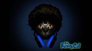 Mashed Up Funk ✧ Beastie Disco
