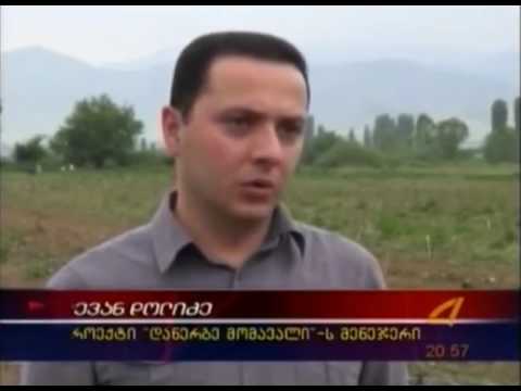 „დანერგე მომავალი“ ფარგლებში ქვემო ქართლში ახალი ხეხილის ბაღები გაშენდება KVEMO KARTLI TV
