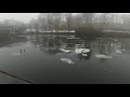 Берлин-Шпандау: зима, туман, лёд, утки...