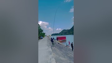 Câu đài săn hàng trắm đen với cần kaiwo Hoành Thiên Hạ 9m kết hợp bài mồi thuốc bắc sắp được ra mắt