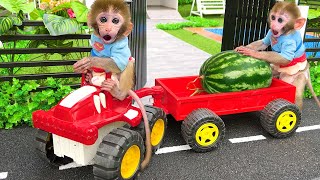 Monkey Baby Bon Bon Harvest Fruit In The Farm And Eat With The Puppy And Duckling At The Garden