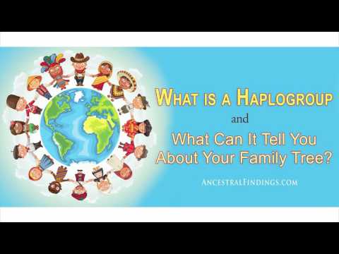 Video: Perbedaan Antara Haplogroup Dan Haplotype