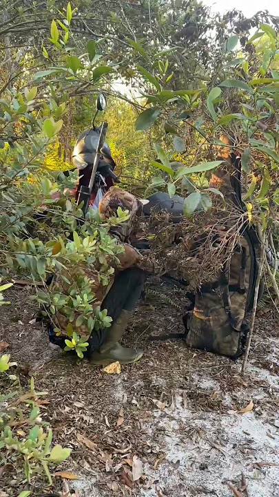 Very nice place to visit Punai