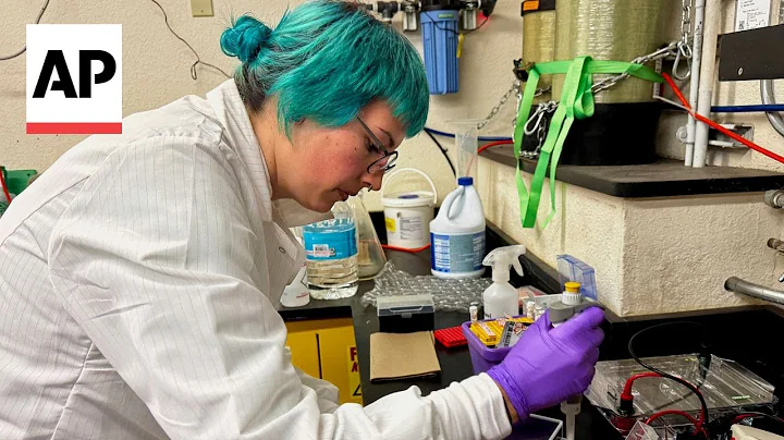 University research in turmoil after Trump’s crackdown on DEI initiatives