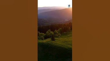 This is why you repeat the same mistakes #mistakes