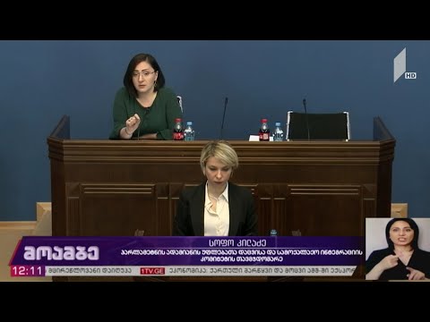 სახალხო დამცველის 2019 წლის ანგარიშის განხილვა