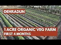 1 acre organic farm  using 18day shivansh fertilizer       