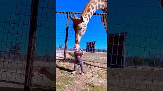 Ye Kya Ho Gya  Short cute  Short  Youtubeshorts  Kamyakimasti