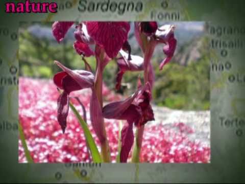 Sardinia Open Voucher -ENG- by Portale Sardegna