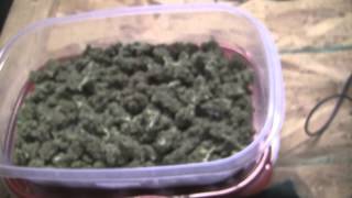 tokin daily: from seed to sale