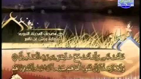 سورة النمل الشيخ العيون الكوشي