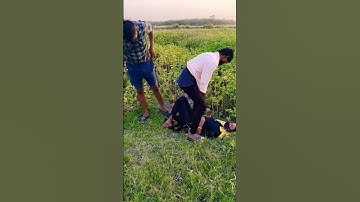 Unlock the Power of Smart Learning with Advanced Gadgets! 🌟 Take learning your journey