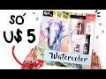 TESTANDO KITS LINDOS DE AQUARELA E CANETAS DA LOJINHA DE 5 DÓLARES! - FIQUEI SURPRESA!