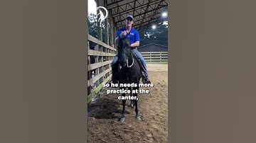 Quick Tips On How To Three Track Like A Pro! Part 9!  | The Horse Guru - Michael Gascon