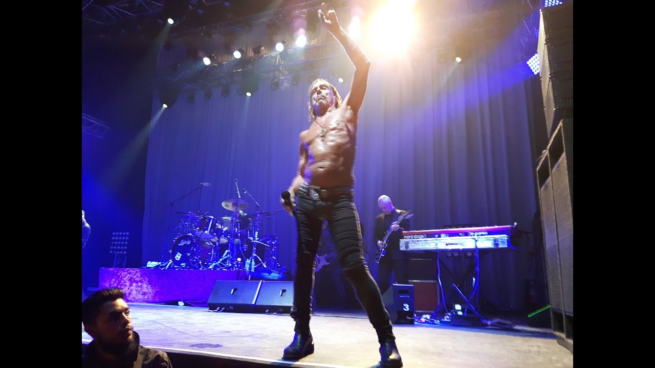 Iggy Pop en Bogotá Now I wanna be your dog