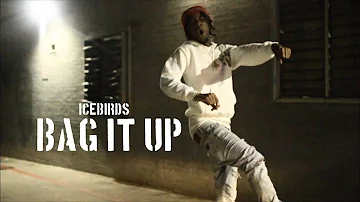 IceBirds - Bag It Up (Video) | Shot by VisbyBWoods