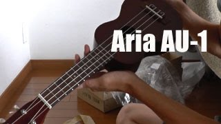大人気の初心者向けウクレレ【Aria AU-1】開封からレビュー