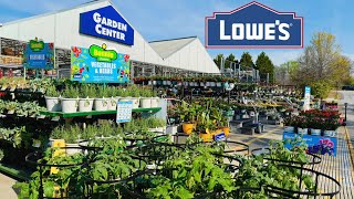 Lowe’s Garden: GroundCover - Vine- Perennial- Shrub- Evergreen- Flower- Berry- Veggie- Fruit Tree