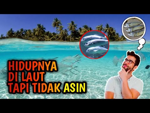 4100 Koleksi Kondisi Ikan Air Laut Gratis Terbaik