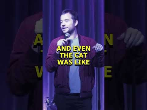 U know that face cats make