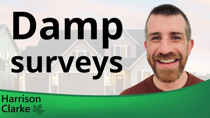 What is a Damp Survey?