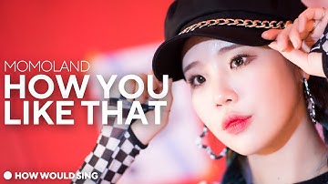 How Would Momoland Sing “How you like that” (Blackpink) — Line Distribution