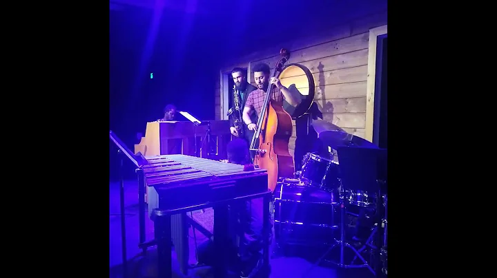 Barry Stevenson on Upright Bass at Discover Jazz F...
