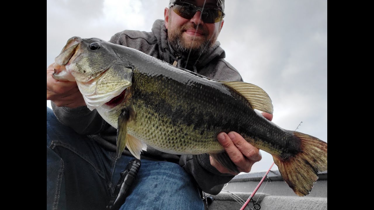 Lake Washington 61919 Largemouth Bass 5.5lbs YouTube