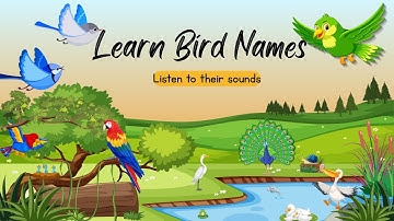 Birds Name & Sounds for Kids 🐦 | Learn Bird Names with Real Bird Sounds | Kids Learning Video