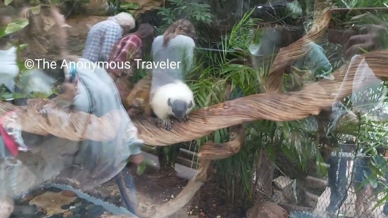 ‪@TheAnonymousTraveller‬