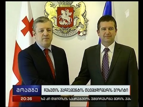 იან ჰამაჩეკის განცხადება ვიზალიბერალიზაციასთან დაკავშირებით