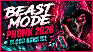 BLOOD RUNS ICE (Official Audio) - Aggressive Phonk / Gaming Music 2026 screenshot 5