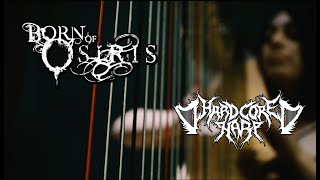 BORN OF OSIRIS - Follow the Signs - Harp cover
