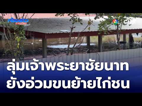 ลุ่มเจ้าพระยาชัยนาท ยังอ่วมขนย้ายไก่ชน | ห้องข่าวภาคเที่ยง สุดสัปดาห์