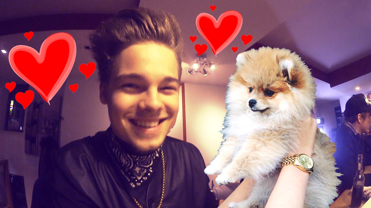 Taddl stirbt durch Niedlichkeit! | ungefilmt