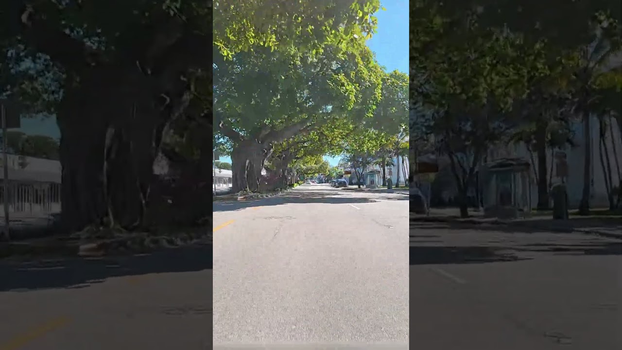 🇺🇸 Afternoon highway cruise in Florida (POV)