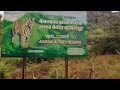 Topslip anamalai tiger reserve, museum visit. worth place for tourism.