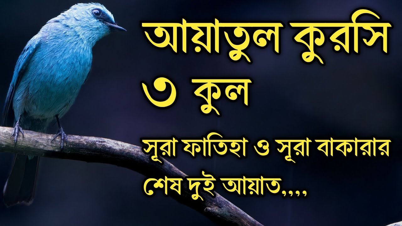সকল বিপদ থেকে মুক্তির জন্য শুনুন | ৩ কুল, আয়াতুল কুরসী, সূরা ফাতিহা ও সূরা বাকারার শেষ দুই আয়াত |