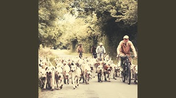Alluring Backdrops for Resting Pups