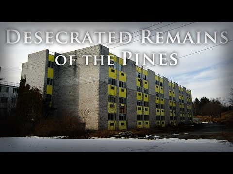 Desecrated Remains of the Pines