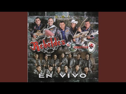 Video Con Cartitas y Palabras (En Vivo) - youtube