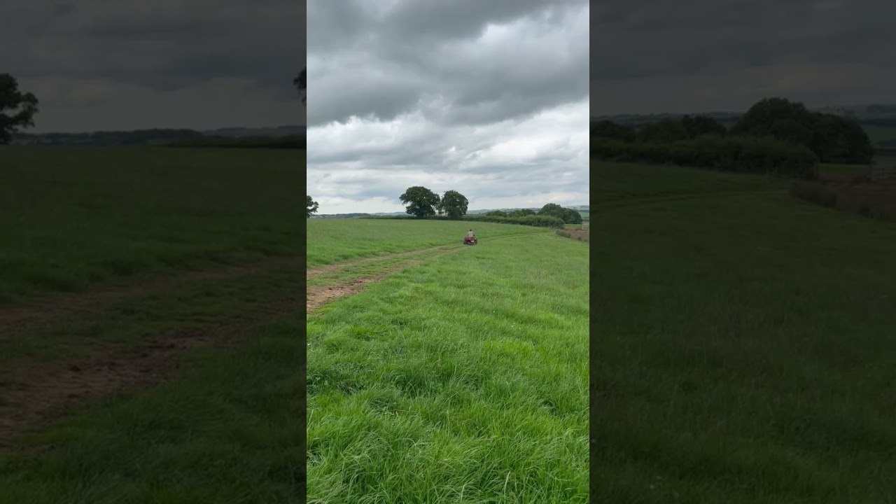 LOT 211 - 2003 HONDA FOREMANS 4X4 QUADBIKE