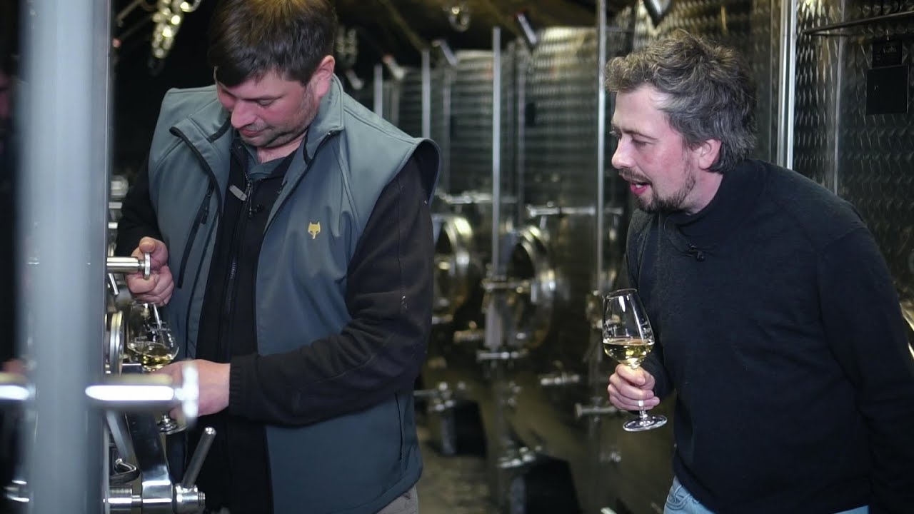 Digitale Weinprobe | Trailer Weinverkostungen mit Winzer & Co | Weingut Leo Fuchs