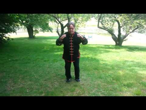 Sun Taiji Short Form