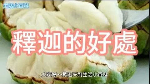 釋迦 - 天天要聞