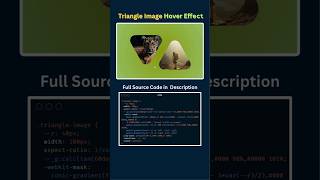 Amazing Triangle Hover Effect with Pure CSS | HTML CSS Animation #shorts