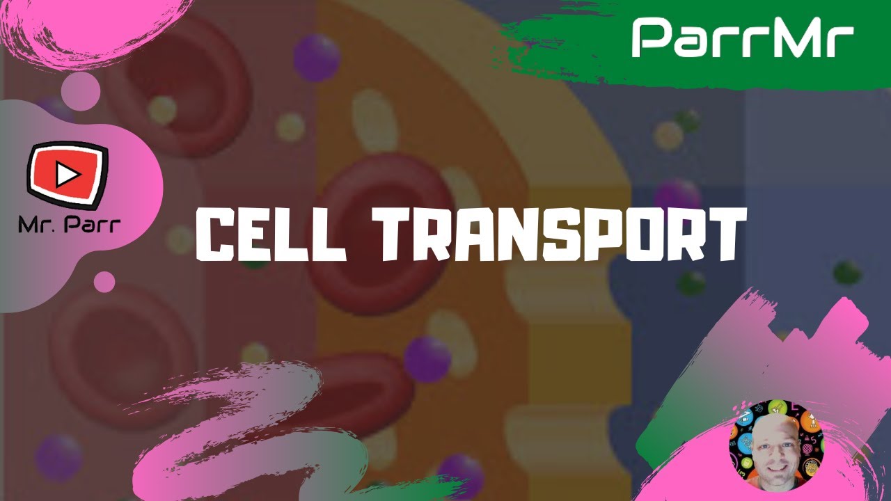 Cell Transport Song