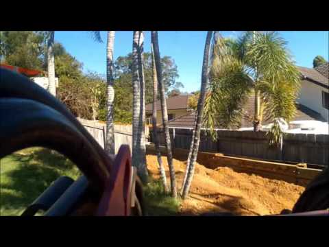 Dingo video